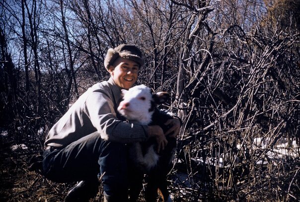 Dad and a little Hereford Calf, 1955.