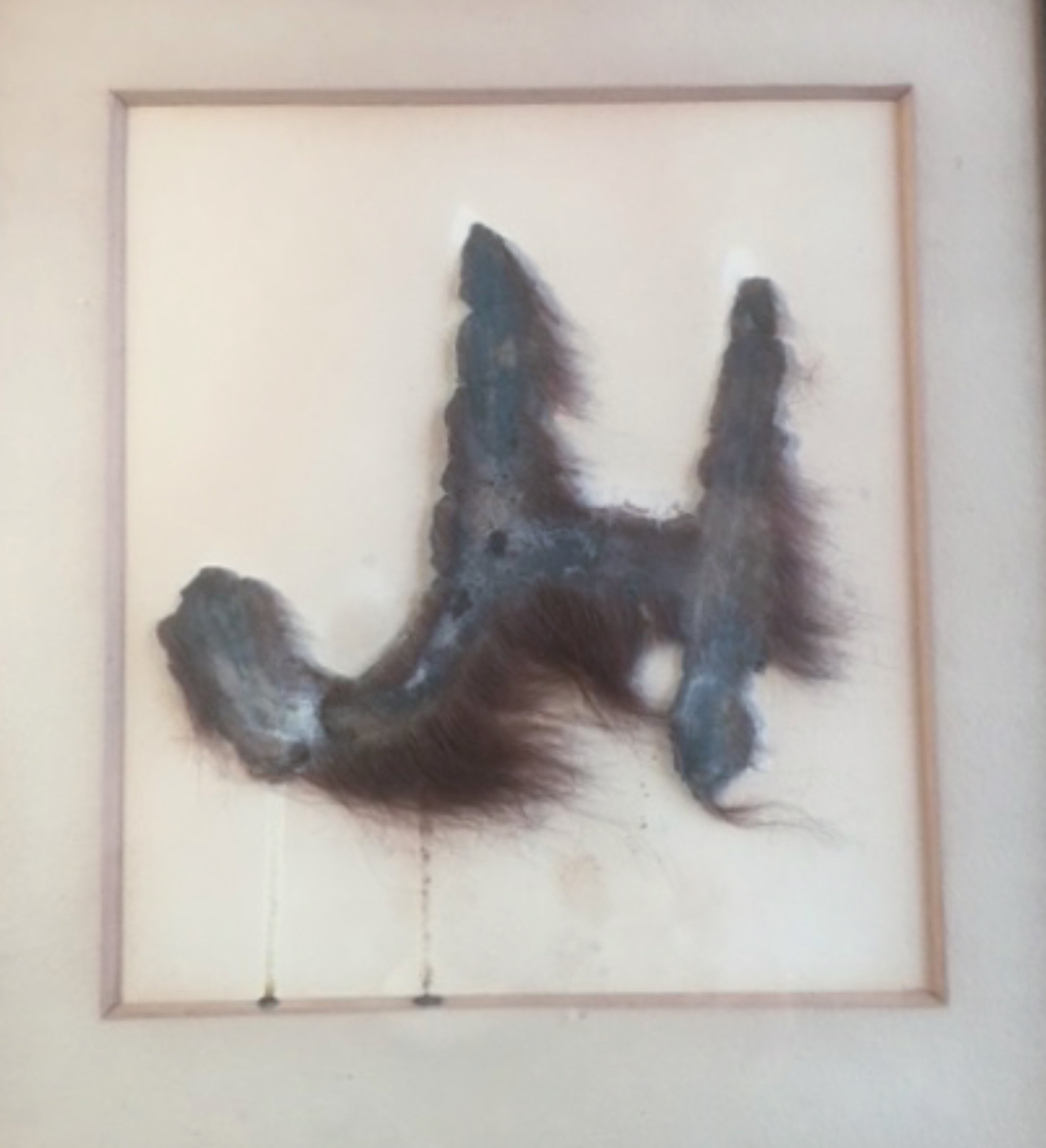 JH brand from the hide of a cow