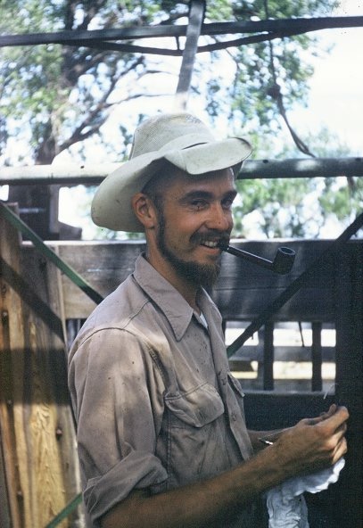 Don Steiger