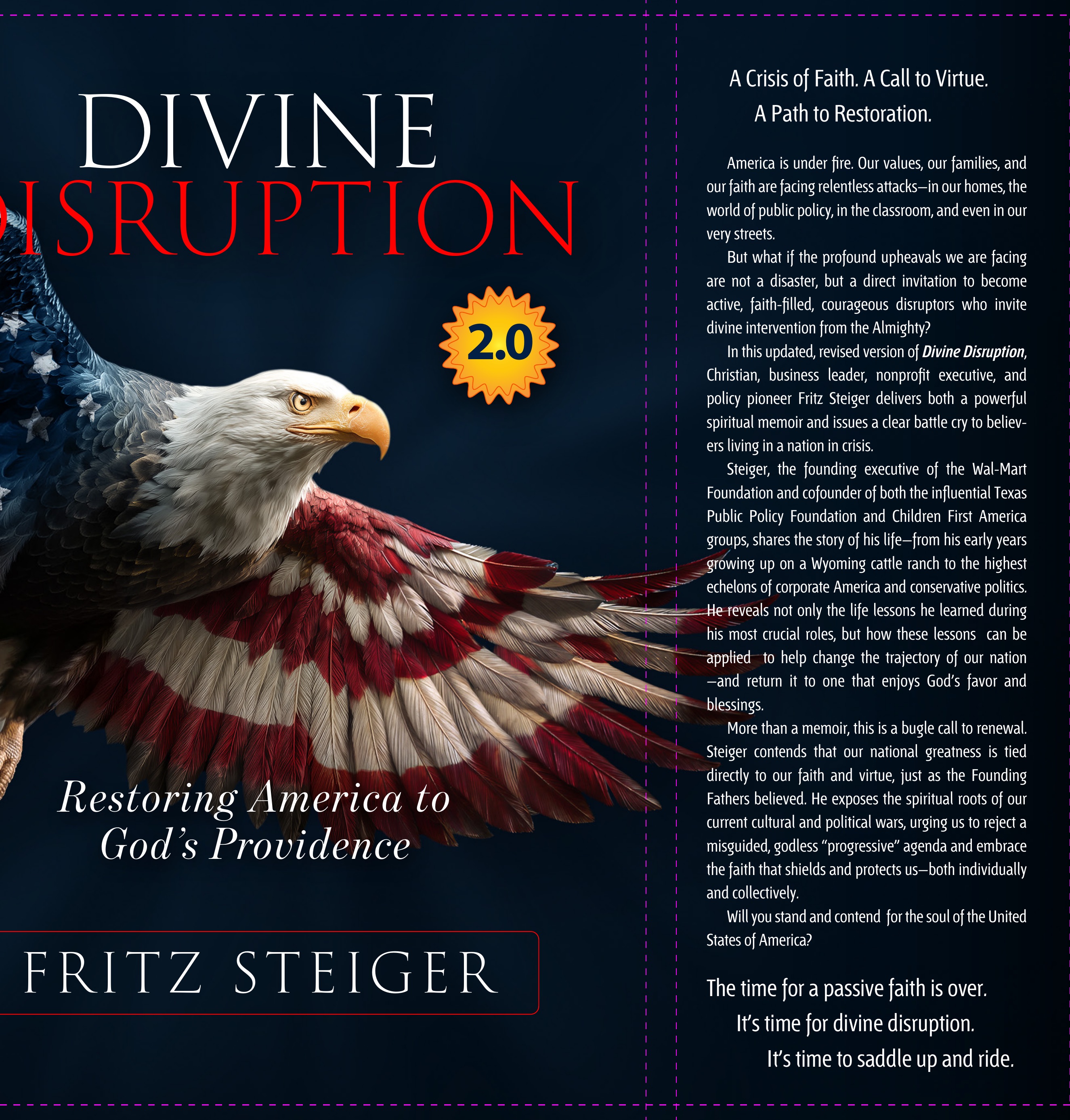 Divine Disruption book cover