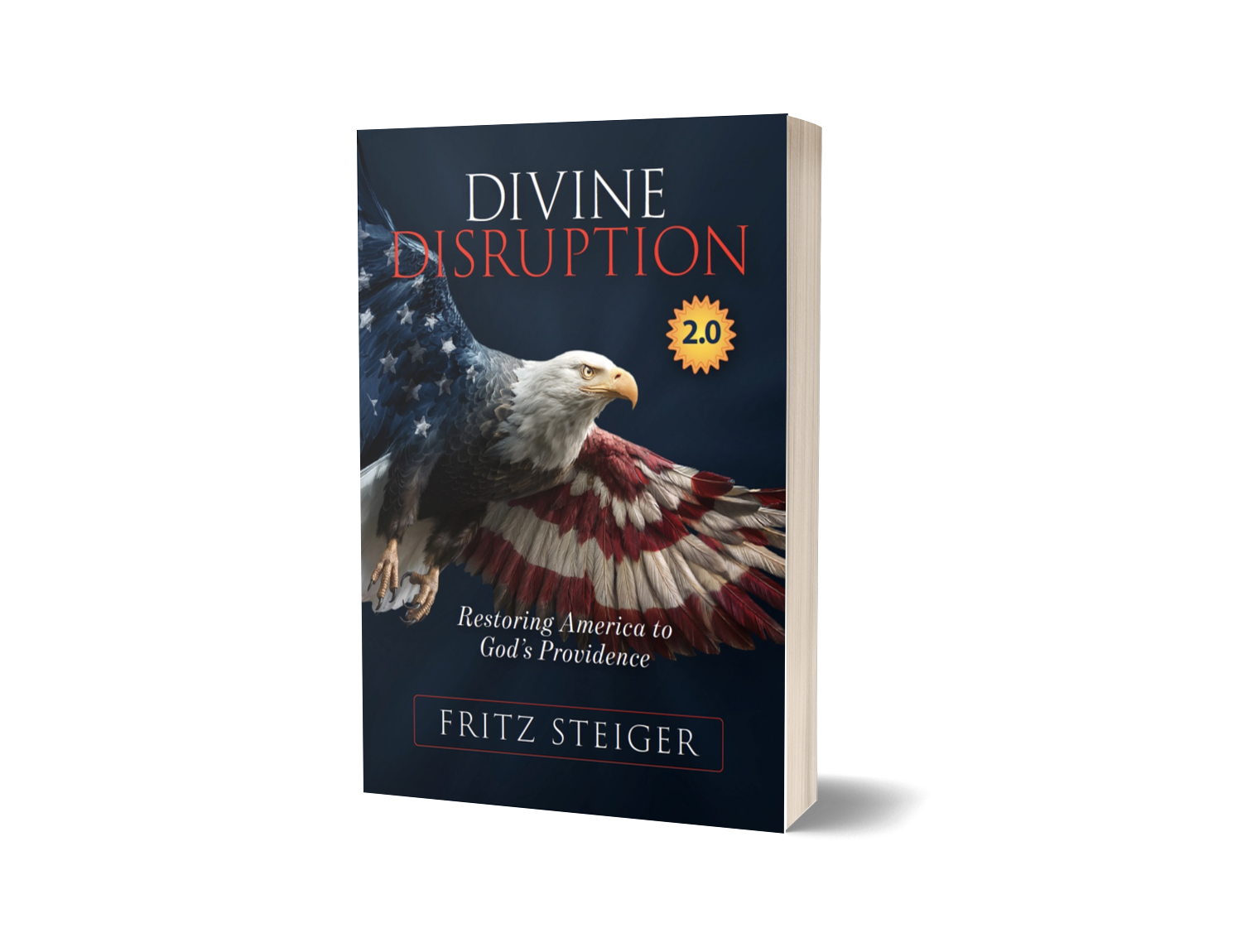 Divine Disruption by Fritz Steiger — 3D Book Mockup